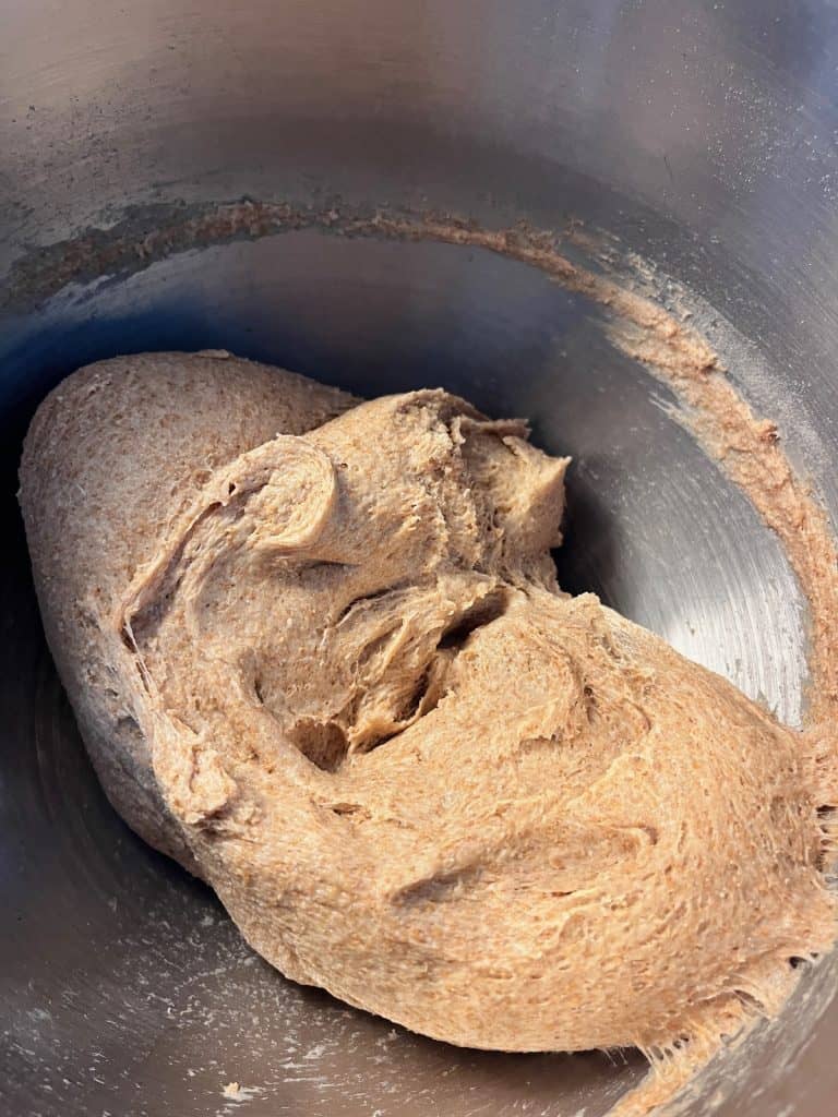 mixed and kneaded bread dough
