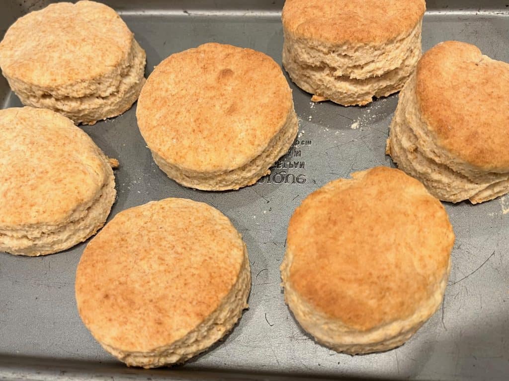 Golden biscuits baked on baking sheet