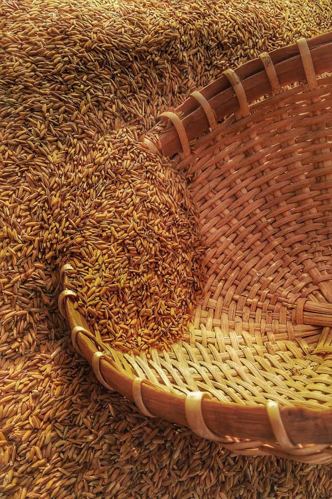 Basket surrounded by wheat grains
