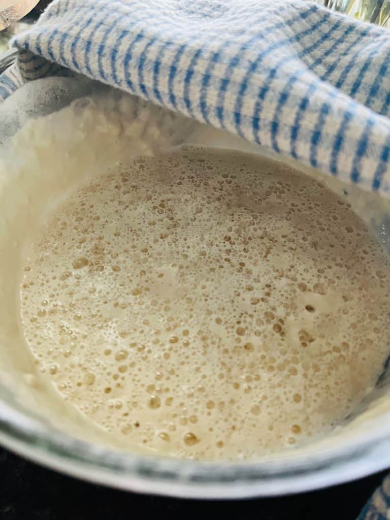 bubbly sourdough starter in bowl